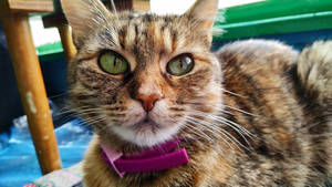 I'm not sleeping guys