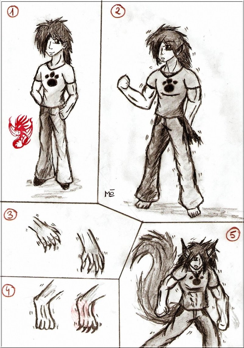 Werewolf Transformation Ritual Werewolf Transformation 1 by MortenLung on DeviantArt