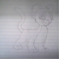 Kougra Drawing