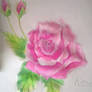 Rose Watercolor