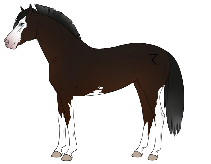 Kortins Import K018 by WinterGiraffe