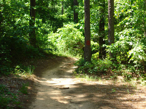 ATV Trail