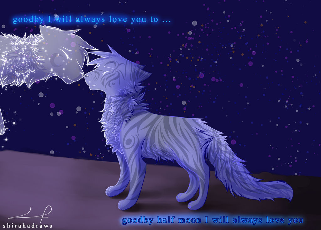 Jayfeather (made with Avatar Maker:Cats 2) by MoonAndTwoStars on DeviantArt