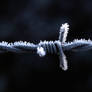 Frozen Ironwire