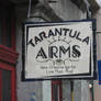 Tarantula Arms