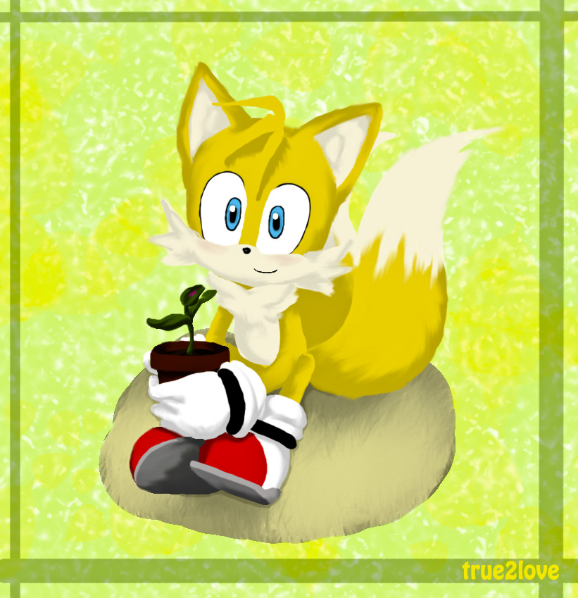 Tails and Cosmo - Yearly Picture