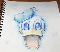 donald duck sketchbook