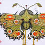 Moth (original sold)