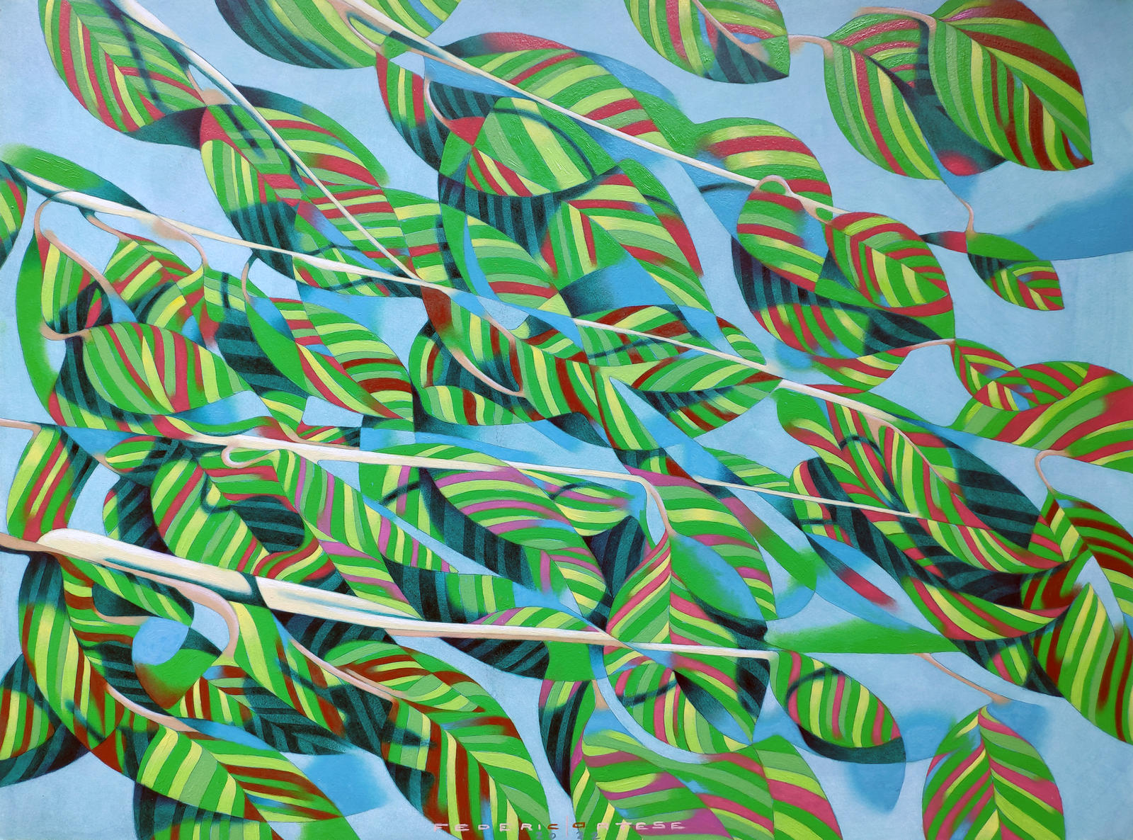 Under the shadow of a tree