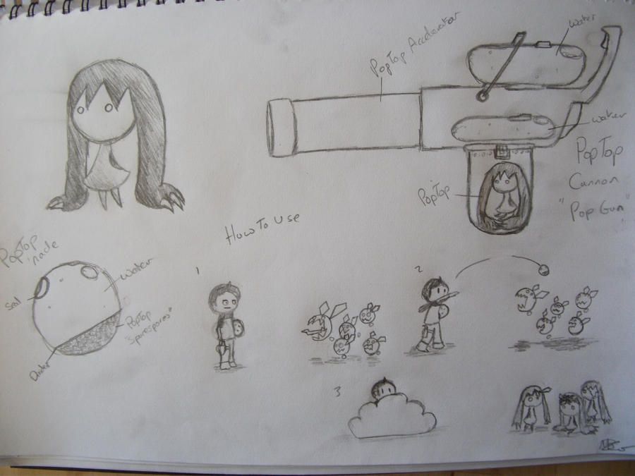 Poptop and Possible Uses