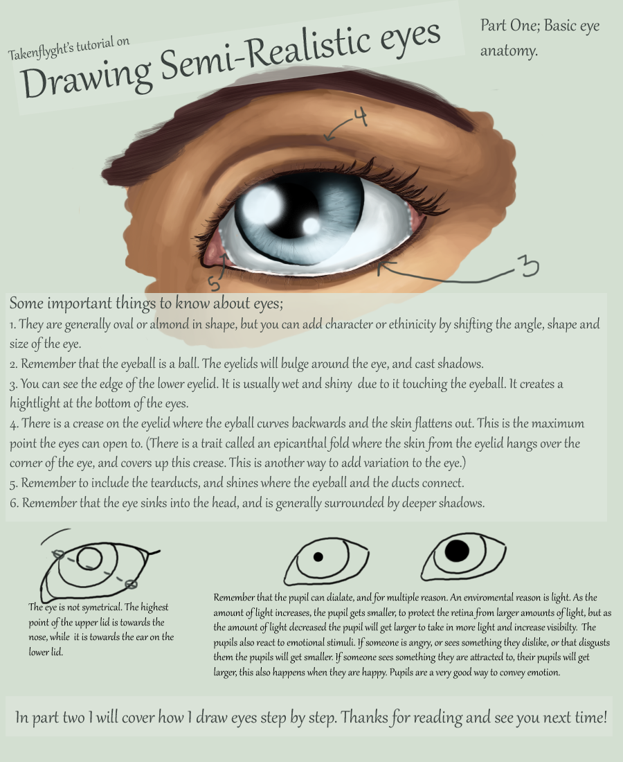 Eyes Part 1 - Basic Anatomy