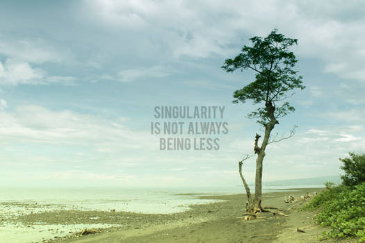 Singularity is not always being less.