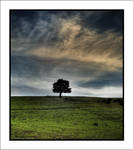 Sky and Tree by Rykardo