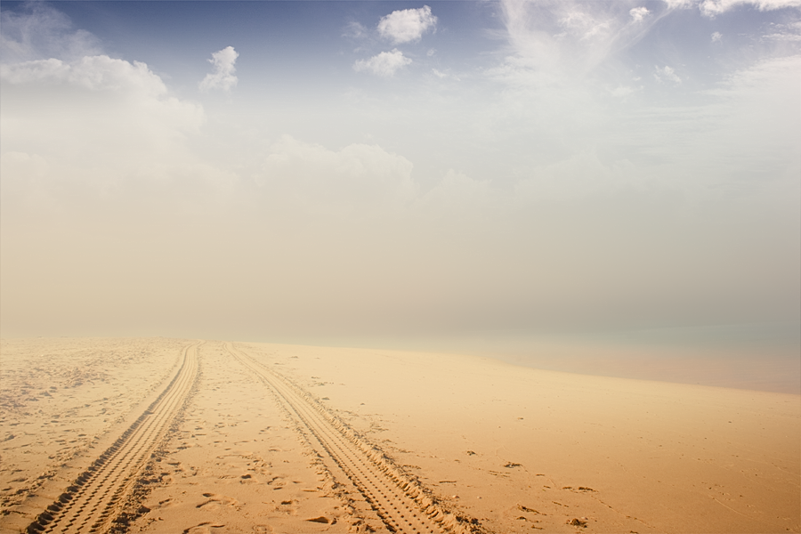 Road to the fog