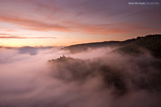 Above the Clouds