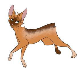 Feline On Rose Shop Adopts Deviantart Feline On Rose Shop Adopts Deviantart