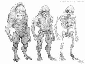 anatomy of a krogan CLEAN VERSION