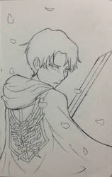 Levi - lineart