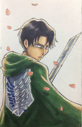 Levi (coloured)