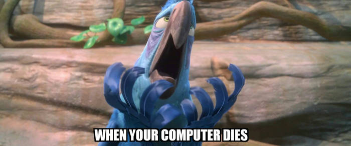 When Your Computer Shuts Down..