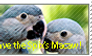 Save the Spix's Macaw Stamp