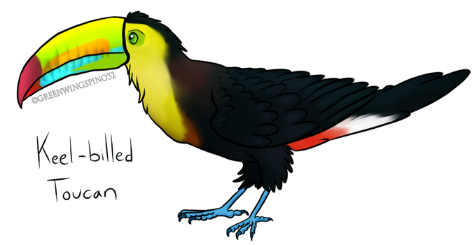 Keel Billed Toucan (LOTGW style)