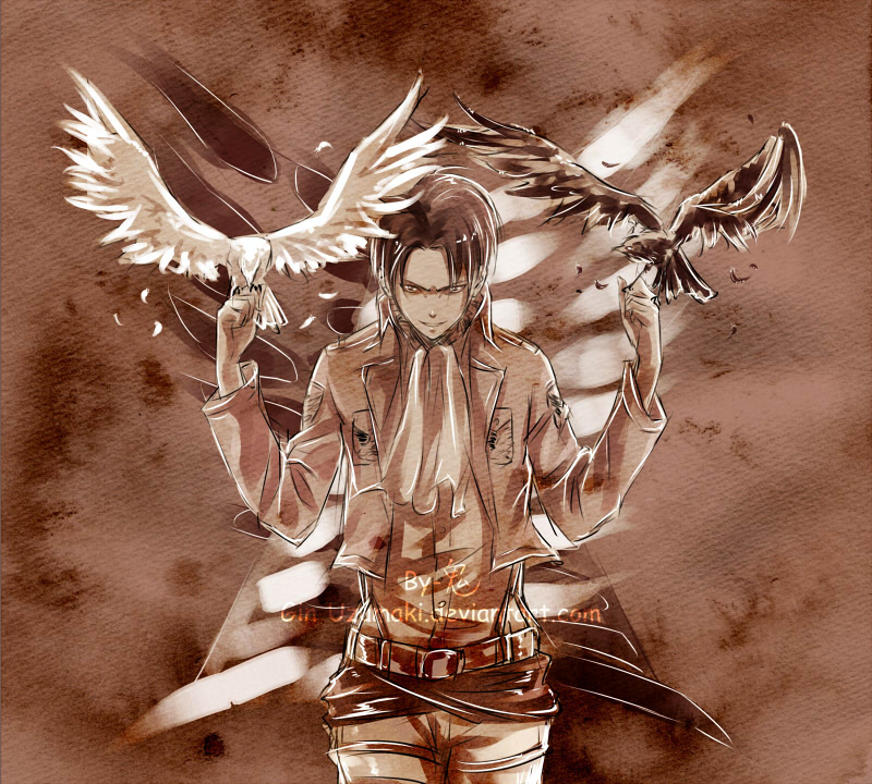 Attack on Titan- Wings of Freedom