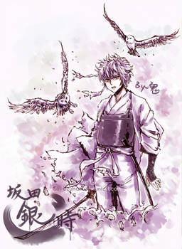 GINTAMA-Gintoki the snowy owl