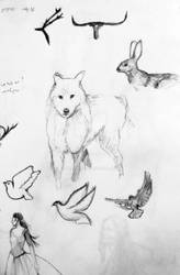 Animal doodles