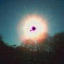 The sun