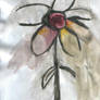 Marilyn Manson's Daisy