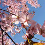 2004 - spring