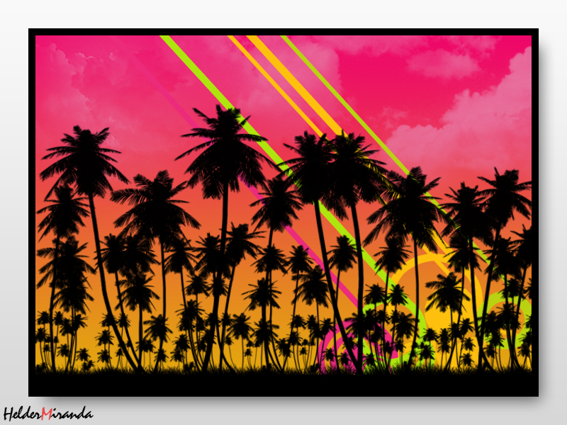 Sunset Palms