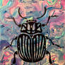 Trippy Beetle