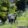 Springtime in cemetery