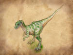 Baby Tyrannosaurus Rex
