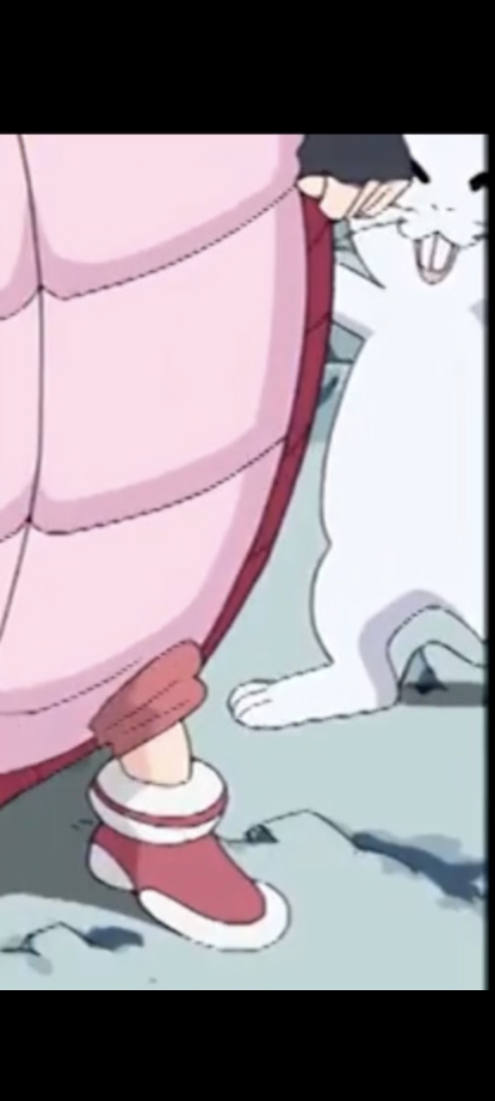 Blossom turtle shell by nickolascampo on DeviantArt