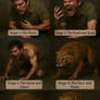 Lion tf