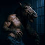 Mid Horse Transformation