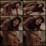 Werewolf tf