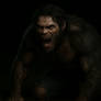 Monkey tf