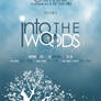 Into The Woods Poster