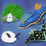 Sea slugs