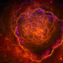 Rose Nebula WS