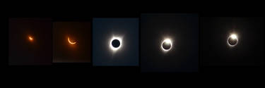 Eclipse shots Salem OR 8-21-17