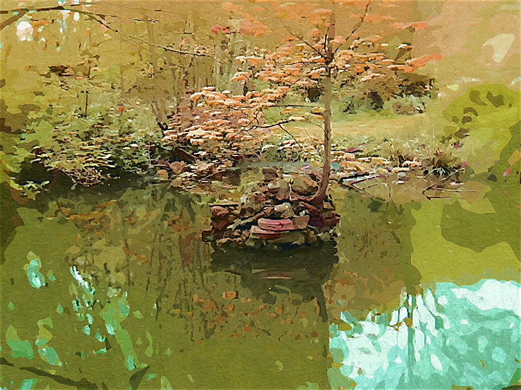 The Pond