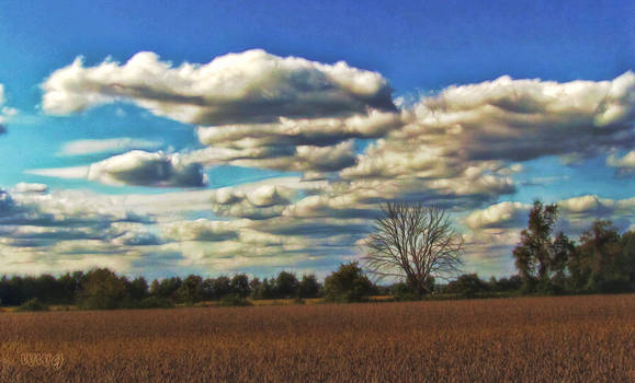 A Cold Sky on a Warm Day