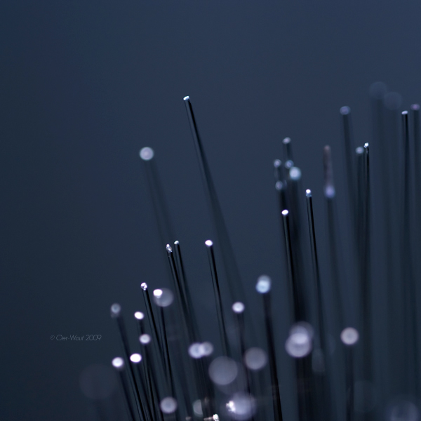 Wannabe incense by Oer-Wout