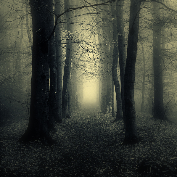 Sine Tempore by Oer-Wout