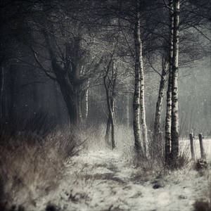 Winter Tale by Oer-Wout